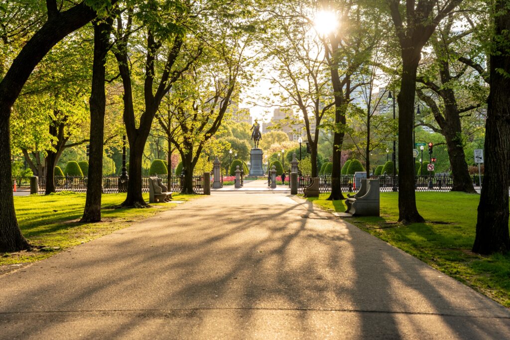 A sunlit park pathway lined with trees casts long shadows on the ground, leading to a statue in the distance. Benches are visible on both sides, and soft sunlight filters through the leaves.