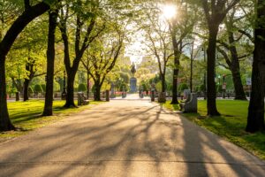 A sunlit park pathway lined with trees casts long shadows on the ground, leading to a statue in the distance. Benches are visible on both sides, and soft sunlight filters through the leaves.