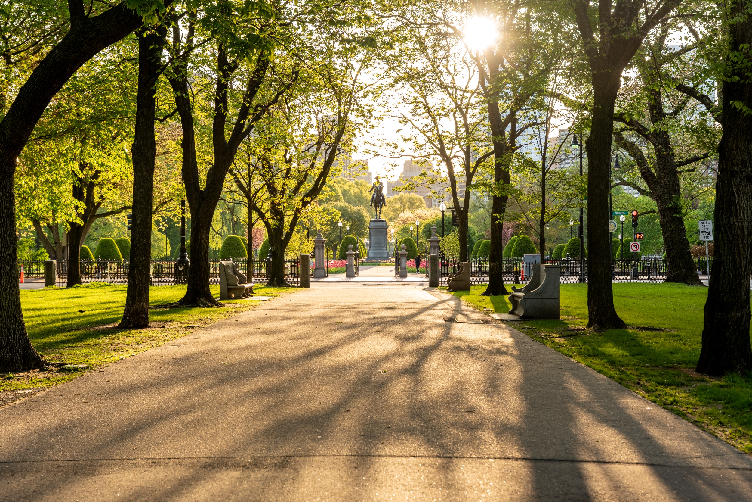 A sunlit park pathway lined with trees casts long shadows on the ground, leading to a statue in the distance. Benches are visible on both sides, and soft sunlight filters through the leaves.